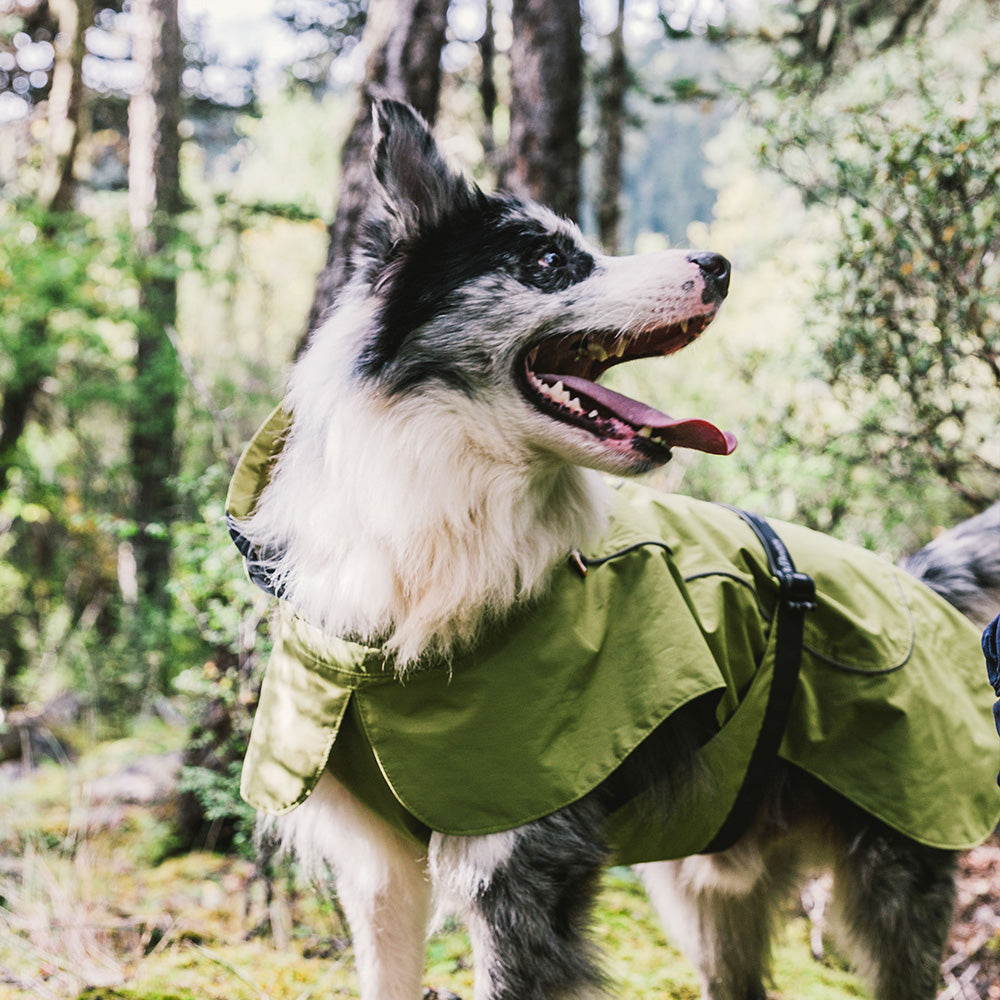 Dog Coats Small Waterproof,Warm Outfit Clothes Dog Jackets Small,Adjustable Drawstring Warm And Cozy Dog Sport Vest-（Green size 2XL）