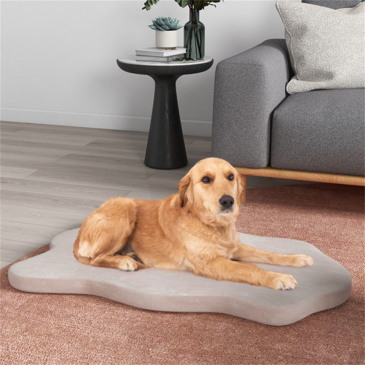 43 " Orthopedic Dog Bed for Large Dogs ﻿Beige