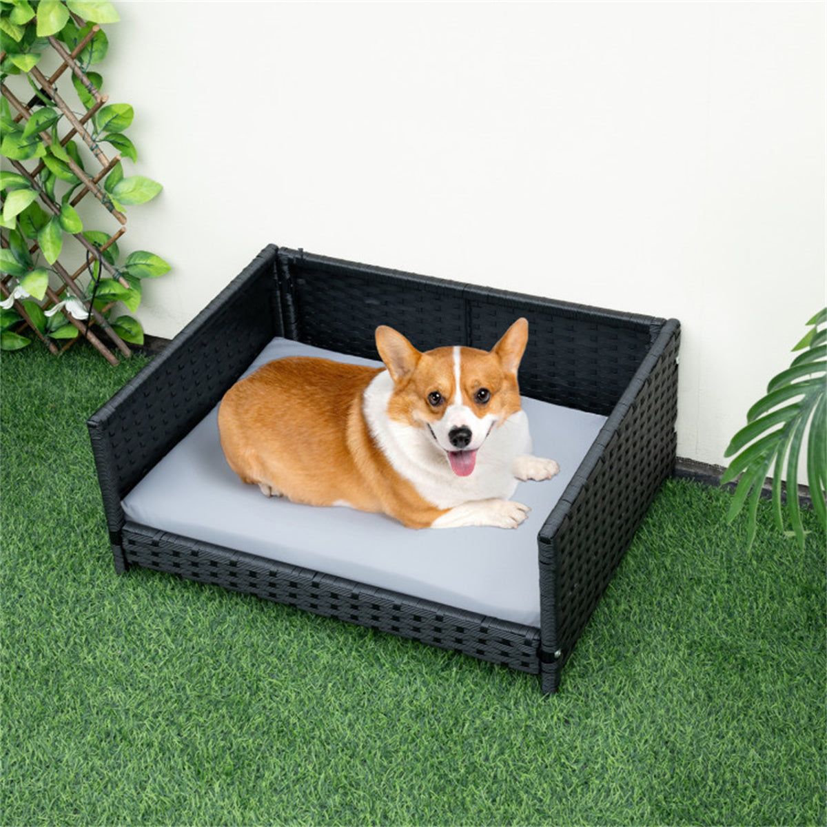 Dog bed with cushion