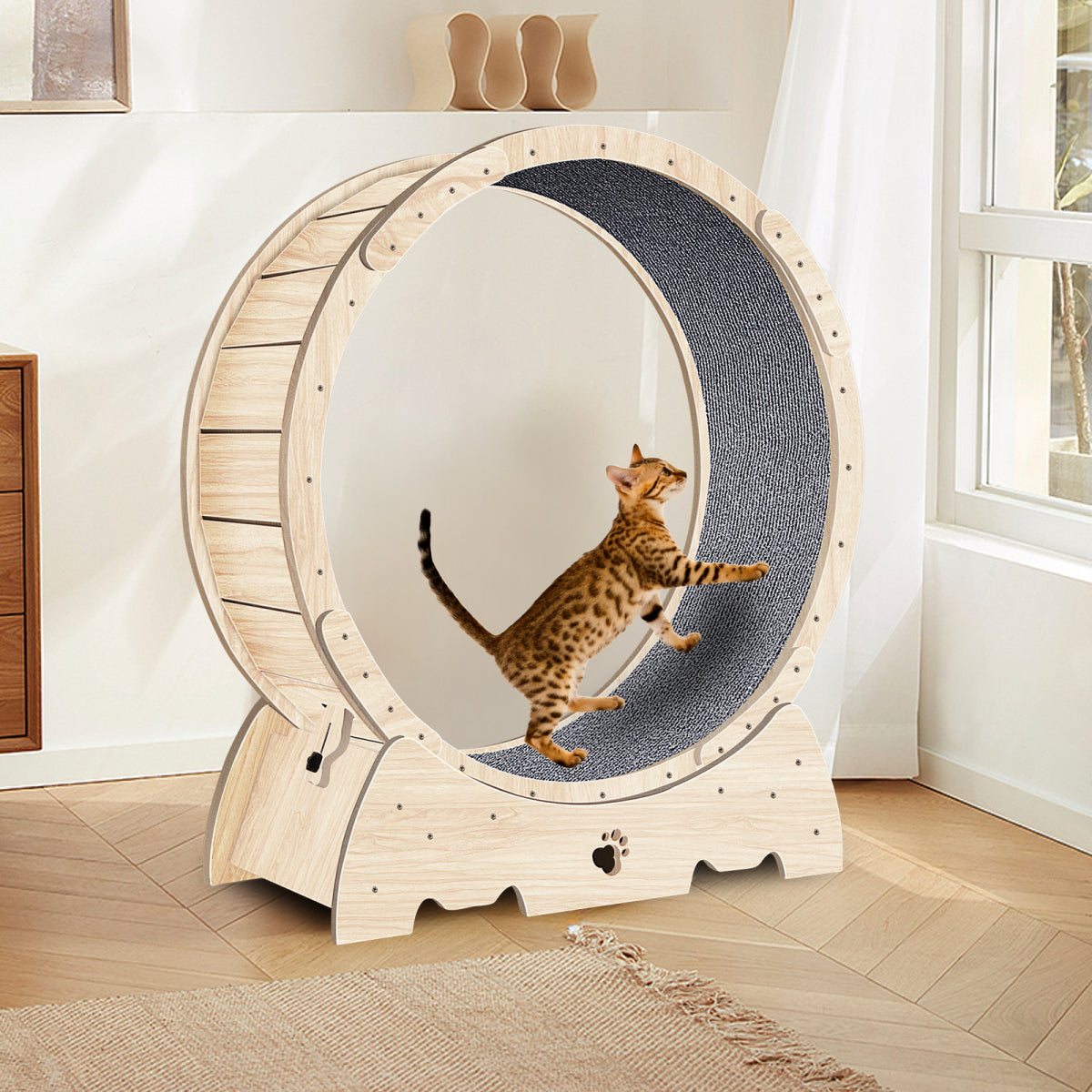 Cat Running Wheel /Cat Scratching Board