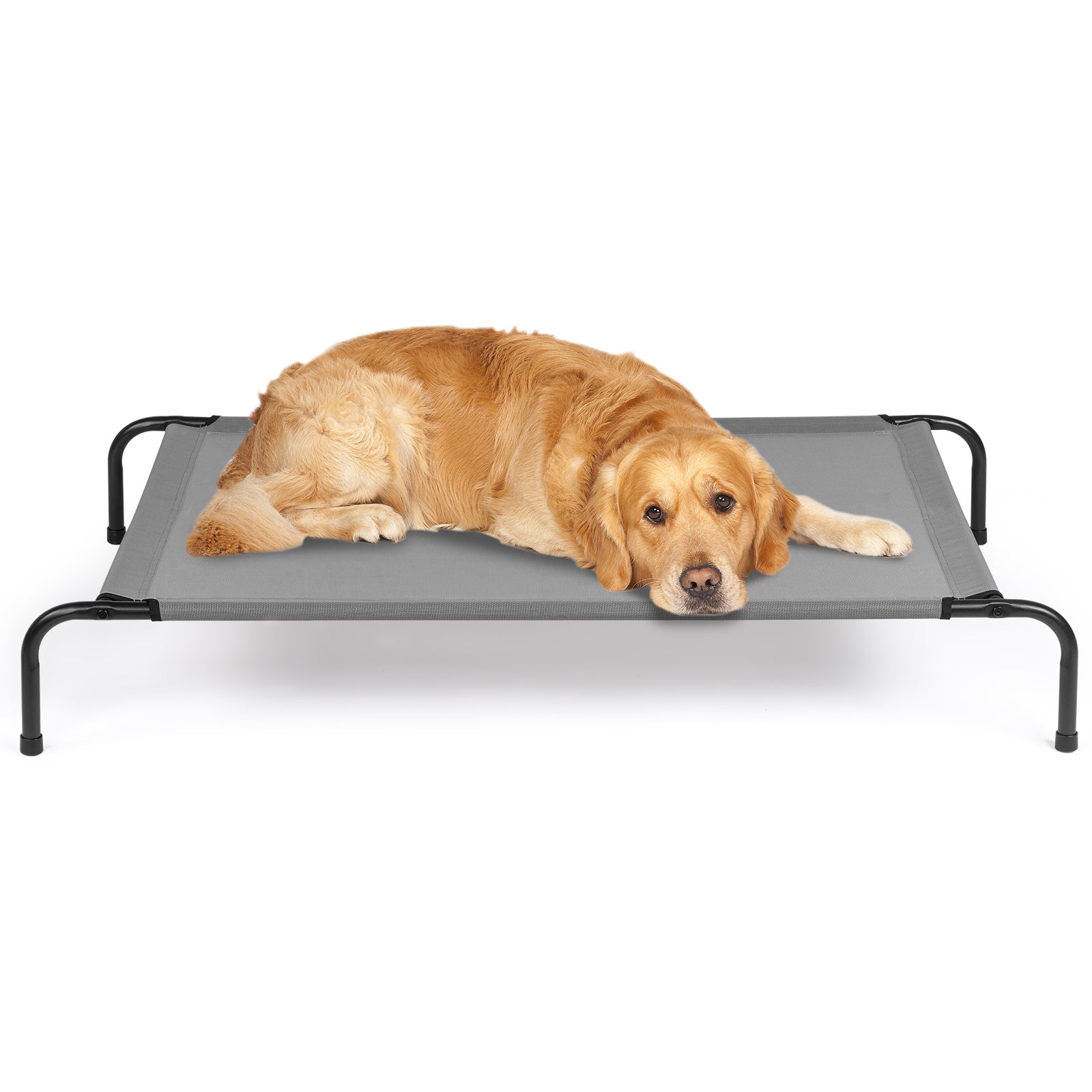 50"D x 31"W x 8"H  Dog Bed