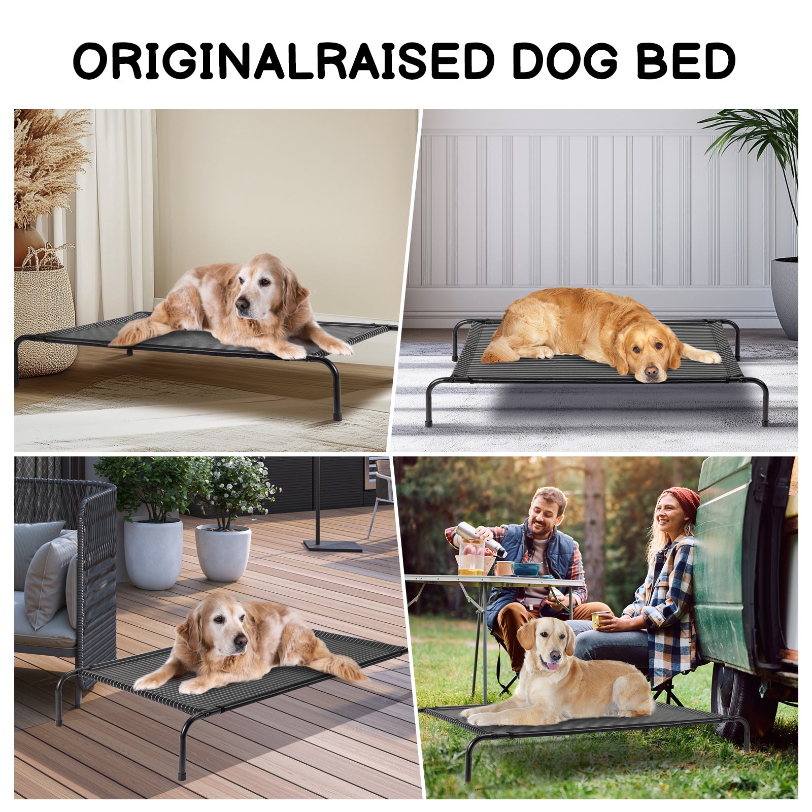 50"D x 31"W x 8"H Dog Bed