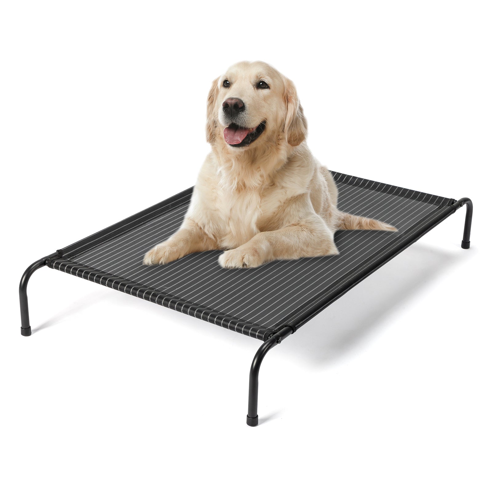 50"D x 31"W x 8"H Dog Bed