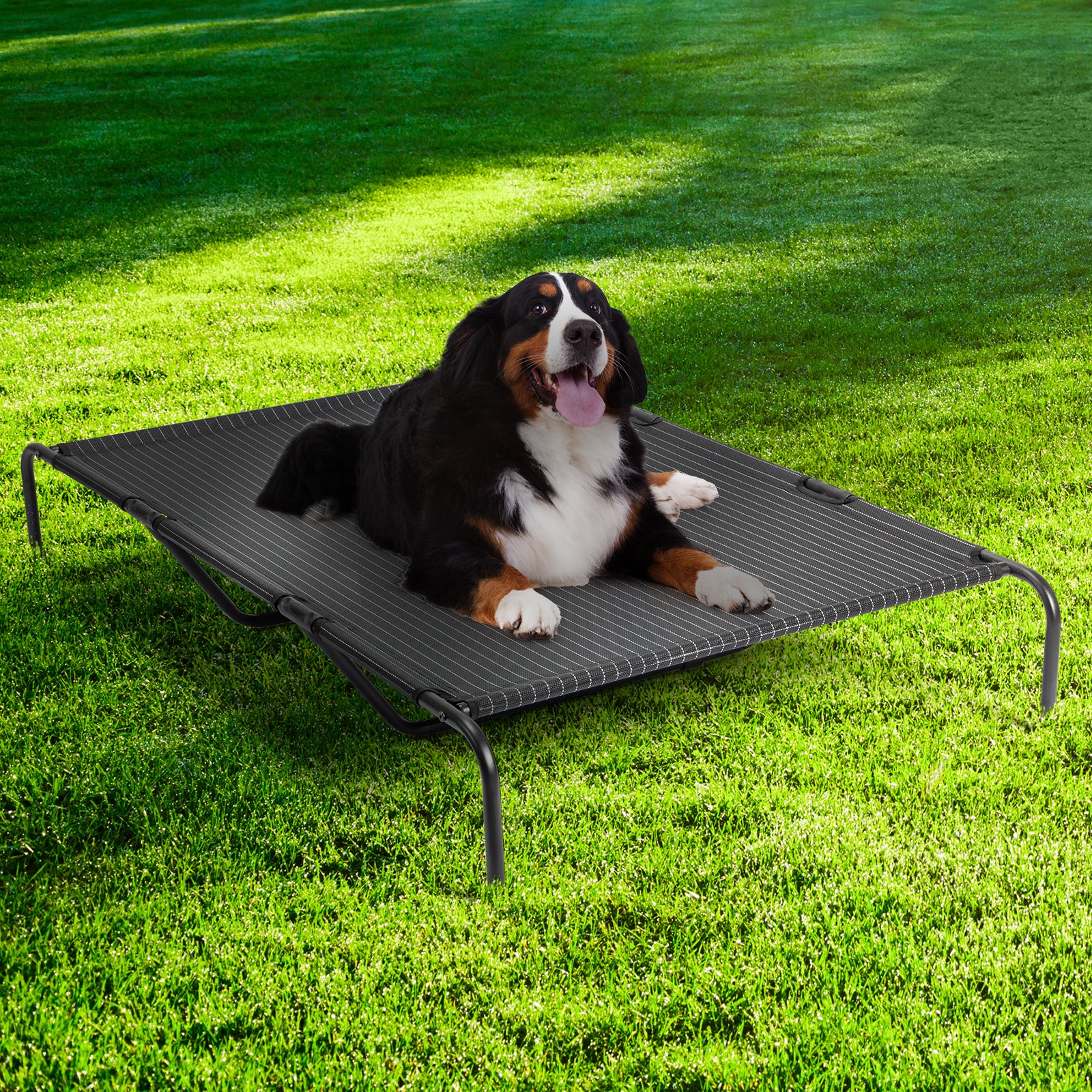 60"D x 37"W x 9"H  Dog Bed